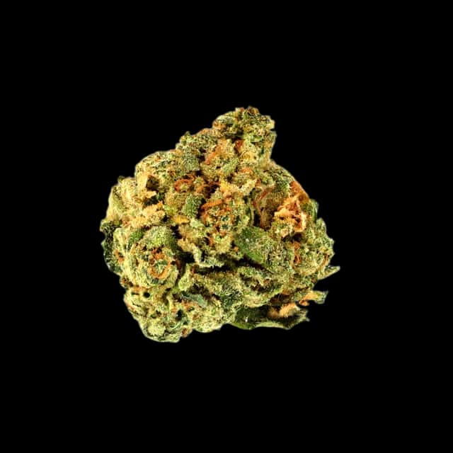 Cannamedical Hybrid Classic Chocolate Marshmallows