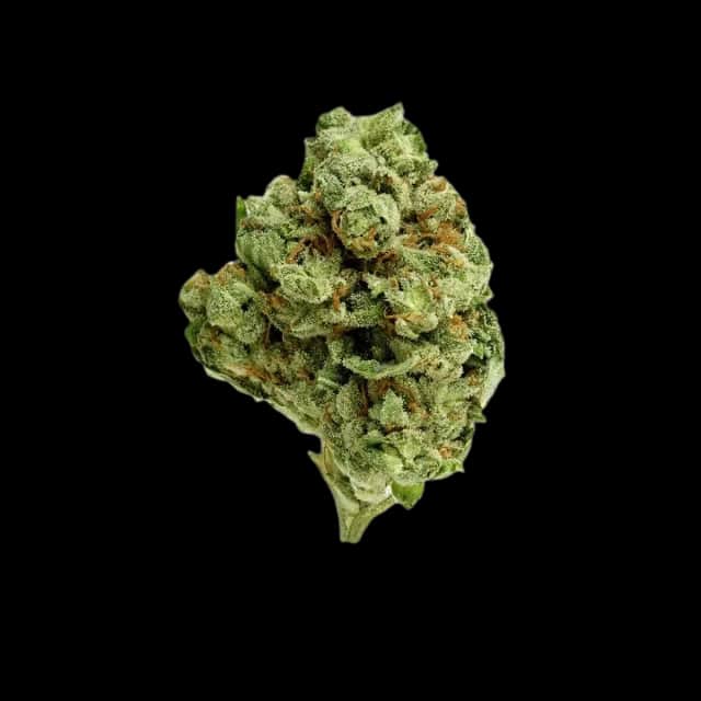 Cannamedical Hybrid classic DK Ghost Train Haze