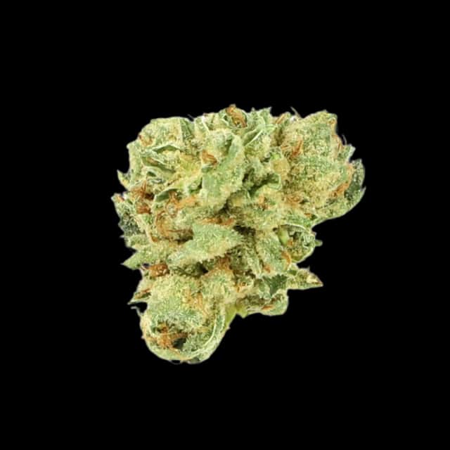 Cannamedical Hybrid classic Headband