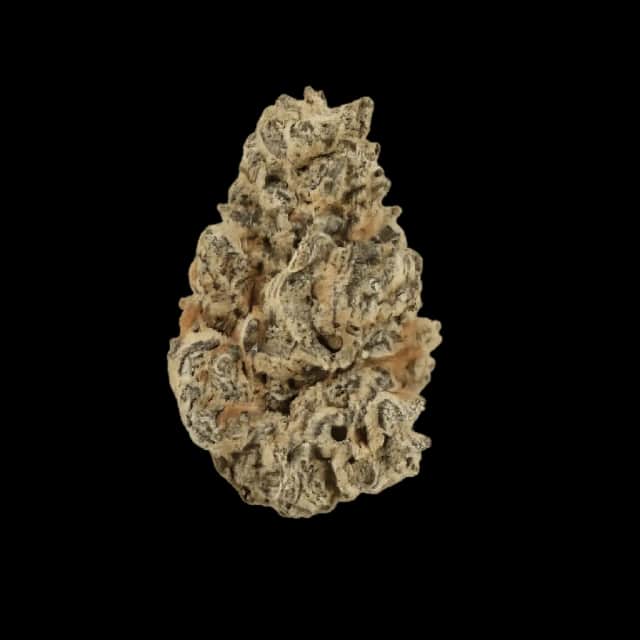 Cannamedical Hybrid Classic KA Citrus Candy Kush