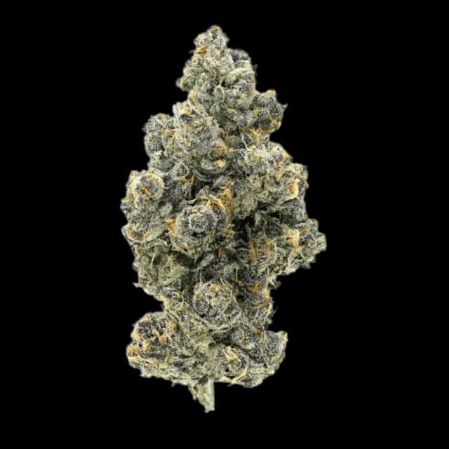 Cannamedical Hybrid Classic KA Ring of Sour