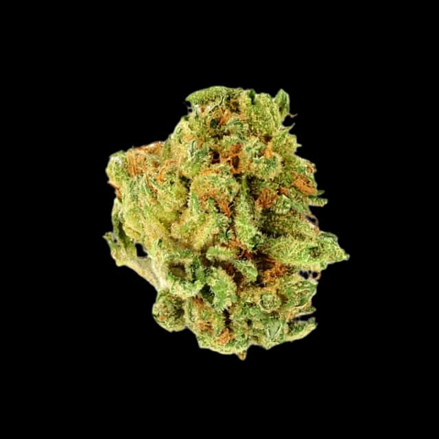Cannamedical Hybrid classic Lost Cause