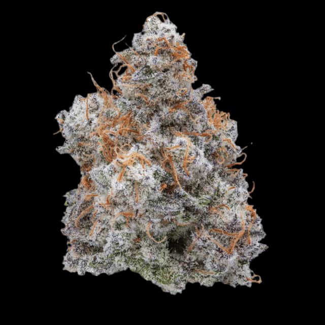 Cannamedical Hybrid Classic Mac 1