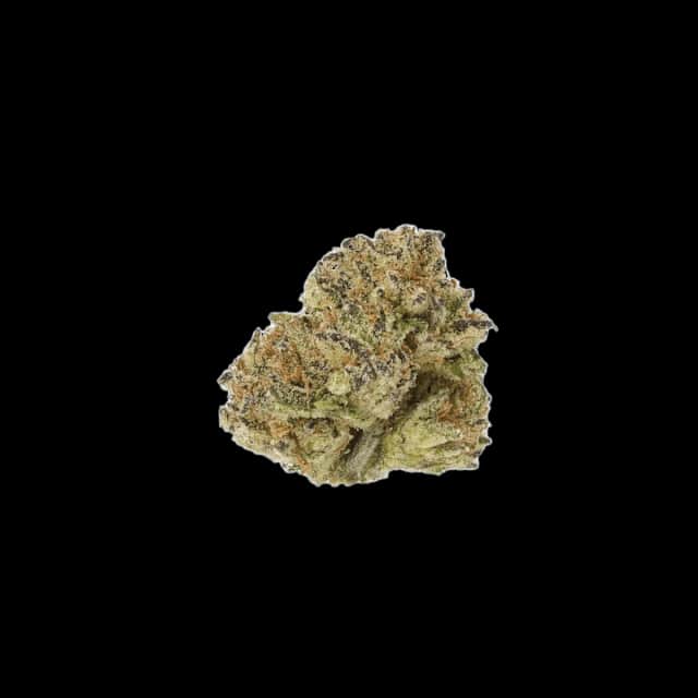 Cannamedical Hybrid Classic NG Orange Kush Cake