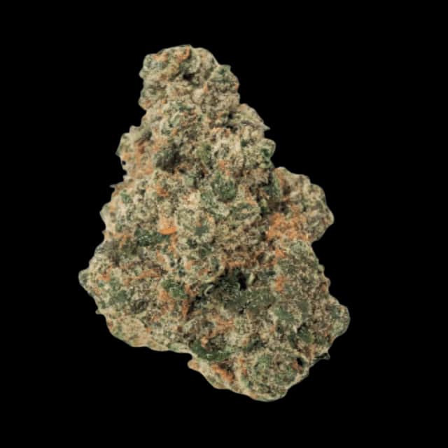 Cannamedical Hybrid Classsic 20/1 Waffle Cone #2