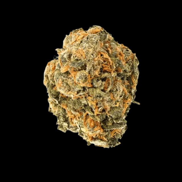 Cannamedical Hybrid Forte 22/1 NM Gorilla Zkittlez