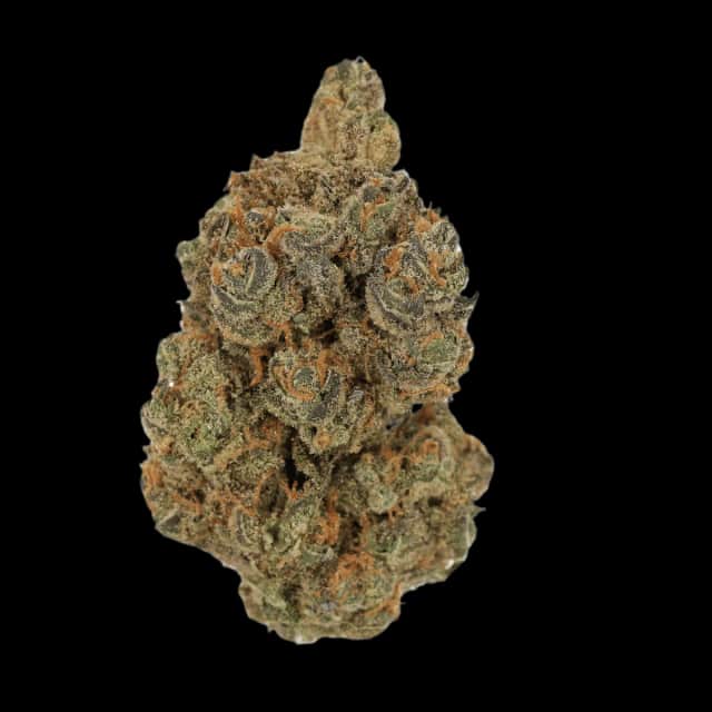 Cannamedical Hybrid Forte 24/1 Garlic Truffle