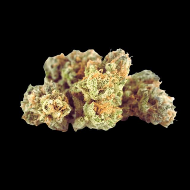 Cannamedical Hybrid forte Gorilla Mints