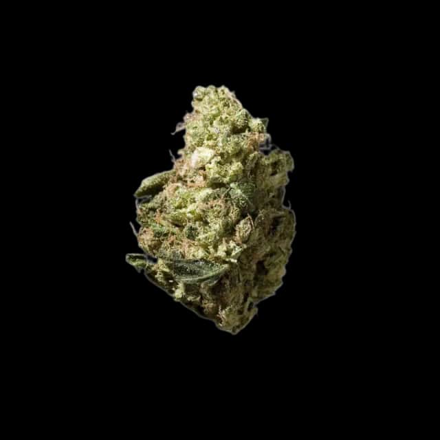Cannamedical Hybrid forte Headband