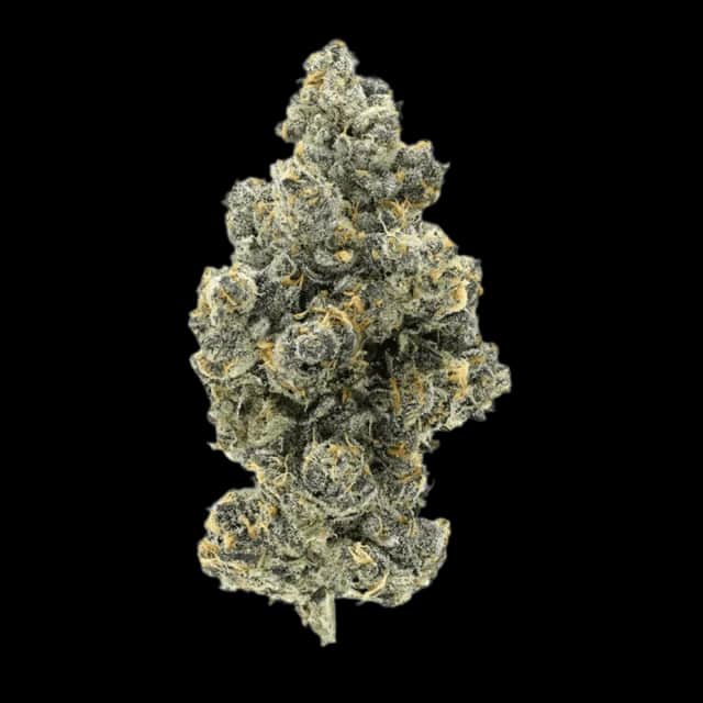 Cannamedical Hybrid Forte KA Ring of Sour