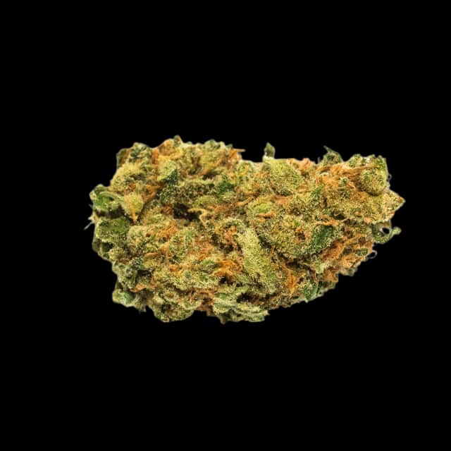 Cannamedical Hybrid forte Lost Cause