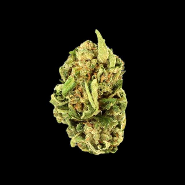 Cannamedical Hybrid forte NG Dark Side of the Moon