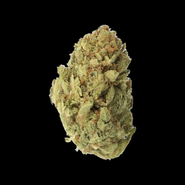 Cannamedical Hybrid forte NG Incredible Milk