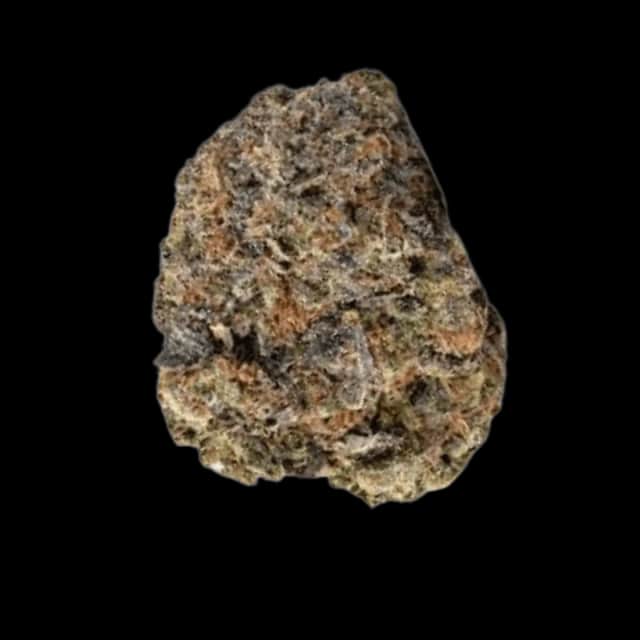 Cannamedical Hybrid Forte NM Critical Bilbo