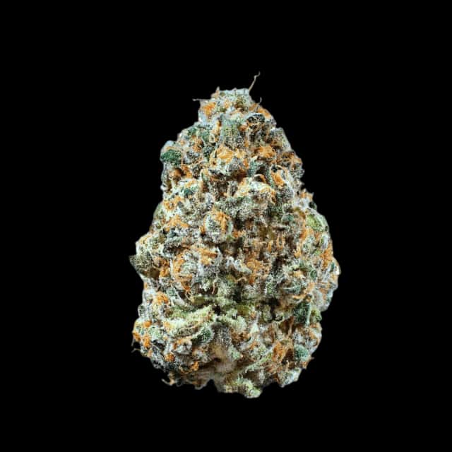Cannamedical Hybrid Forte NM Rainbow Jungle