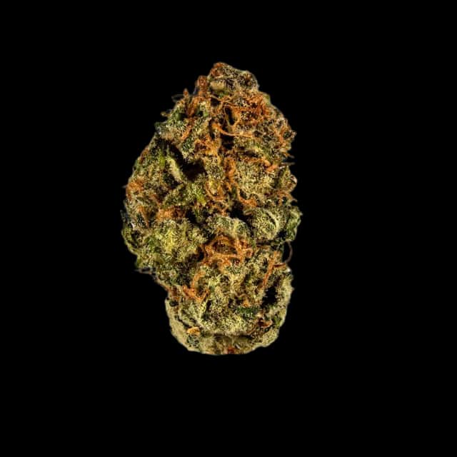 Cannamedical Hybrid forte PH THC Bomb