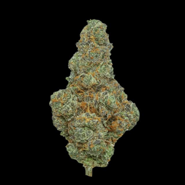 Cannamedical Hybrid Forte SA Blunicorn
