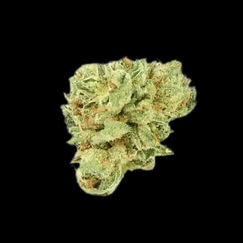 Cannamedical Hybrid Light Headband