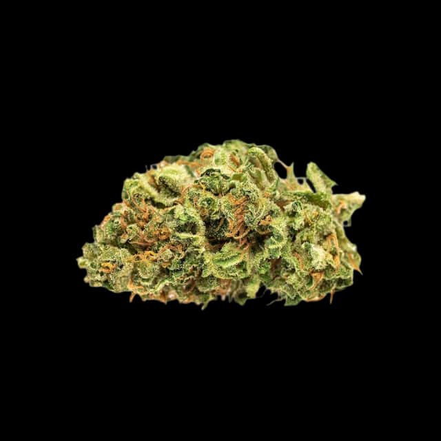 Cannamedical Hybrid light Jean Guy