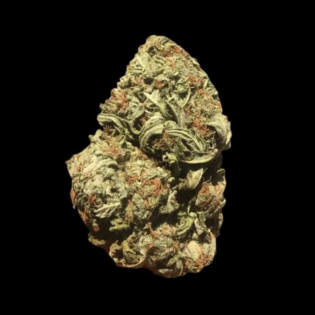Cannamedical Hybrid light URY White Gorilla