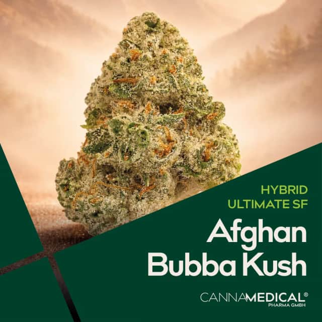 Cannamedical Hybrid ultimate SF Afghan Bubba Kush