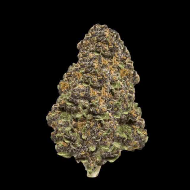 Cannamedical Hybrid Ultra BC Lemon Cookies