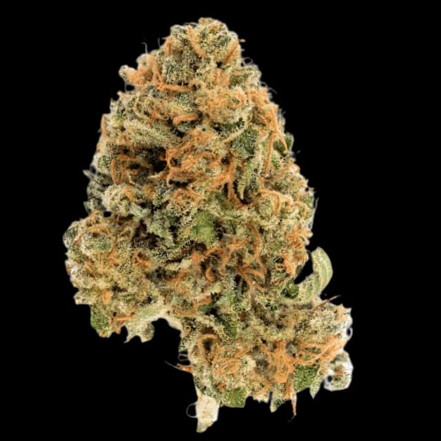 Cannamedical Hybrid Ultra DK 28/1 Ghost Train Haze