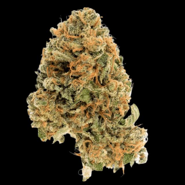 Cannamedical Hybrid Ultra DK Ghost Train Haze