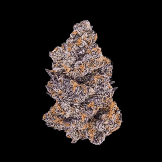Cannamedical Hybrid Ultra NG Jealousy
