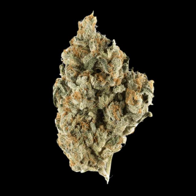 Cannamedical Indica classic AU El Jefe