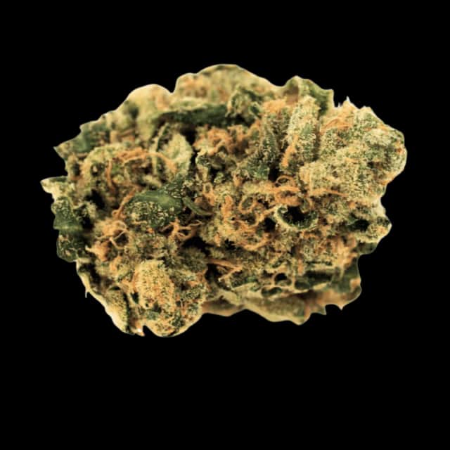 Cannamedical Indica Classic DK 20/1 Cookies Kerosene Punch