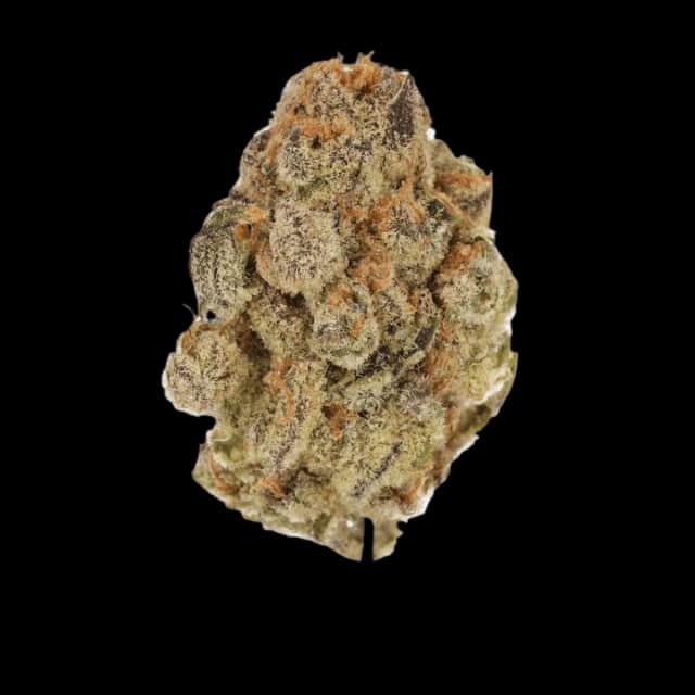 Cannamedical Indica classic ZAF Black Cherry Punch