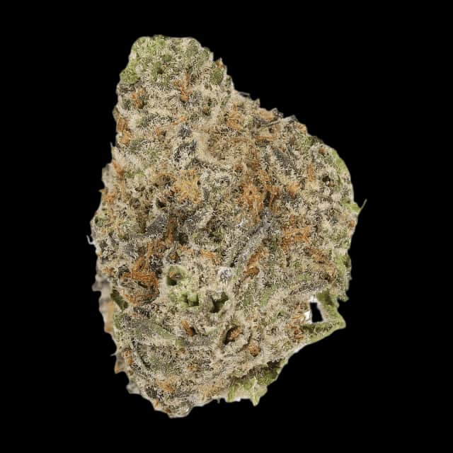 Cannamedical Indica Forte AU LKC LA Kush Cake