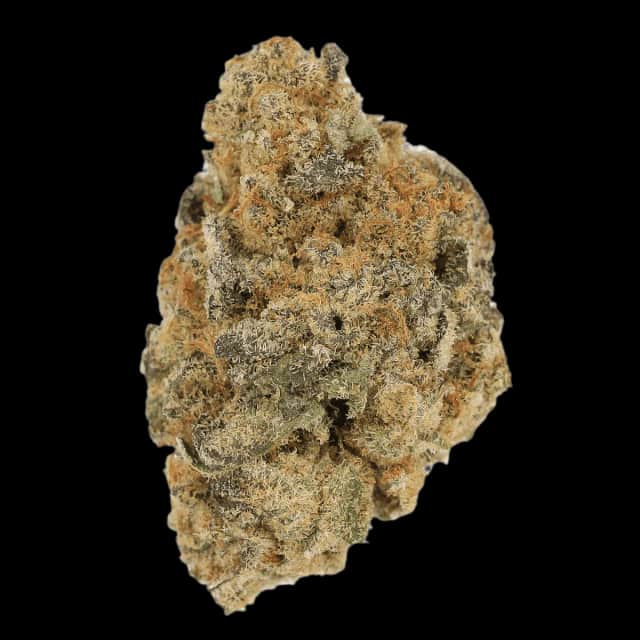 Cannamedical Indica Forte BC Banana Cream Cake