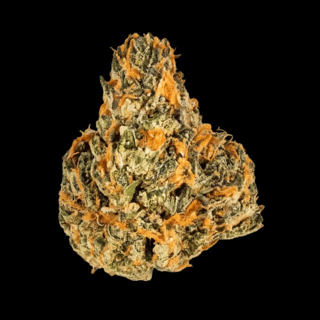 Cannamedical Indica Forte BC Sweet Sunset