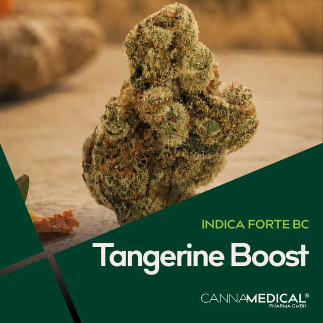 Cannamedical Indica Forte BC Tangerine Boost