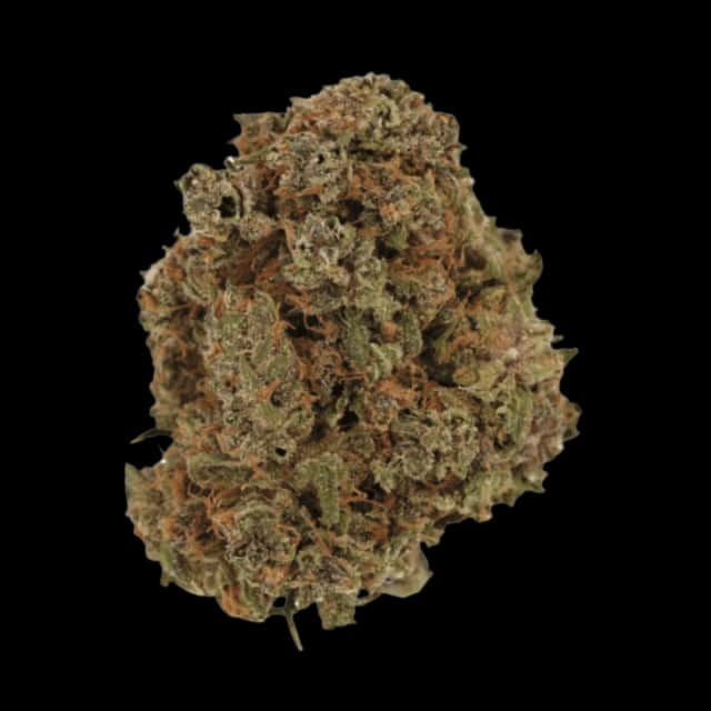 Cannamedical Indica Forte DK 22/1 Gelat Skyfloater