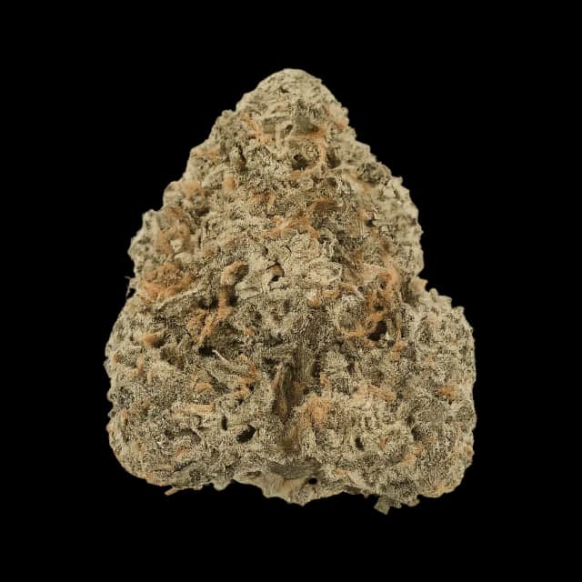 Cannamedical Indica Forte DK Blue Cheese