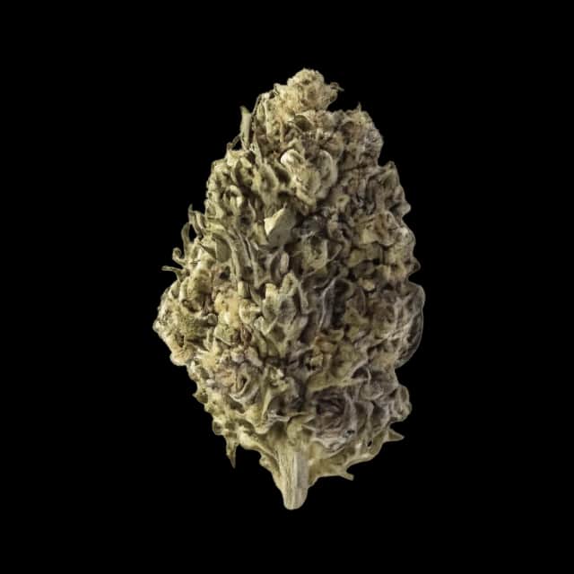 Cannamedical Indica Light ZAF Biscotti Mintz