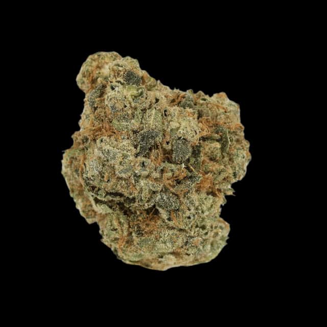 Cannamedical Indica ultra BC Grape Pie