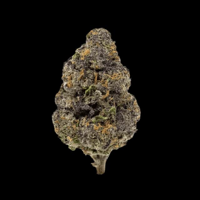 Cannamedical Indica ultra ES Papaya Boom