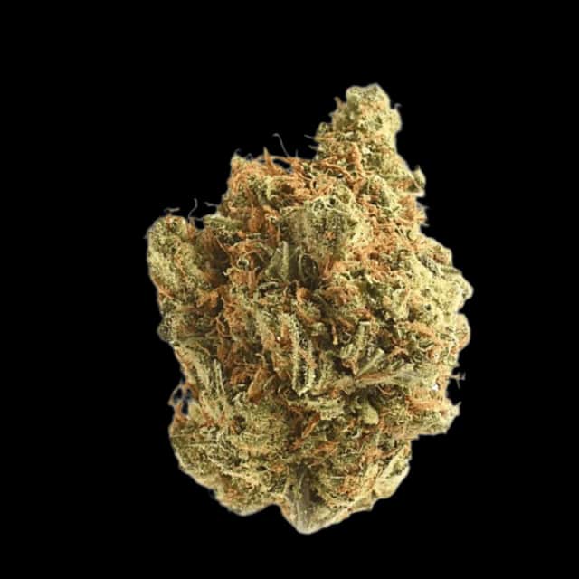 Cannamedical Sativa Classic NM Amsterdam Amnesia