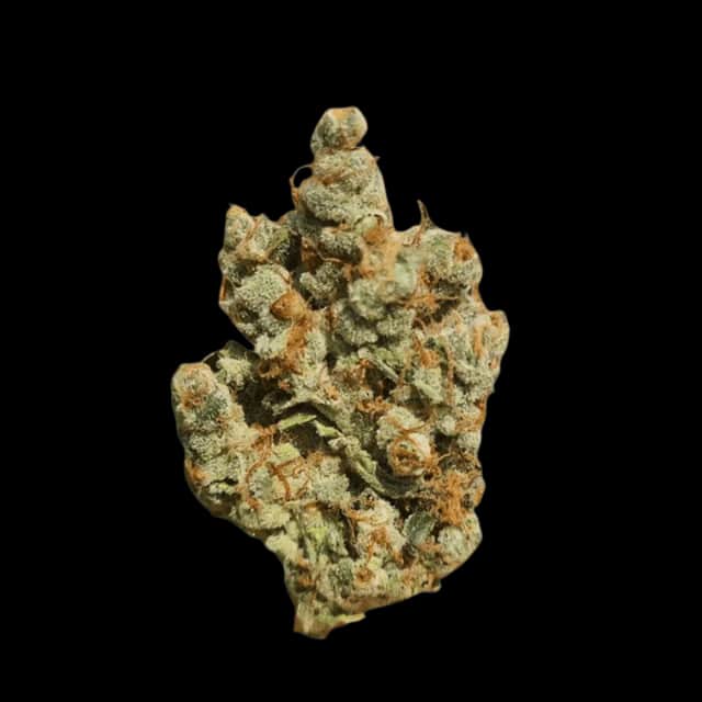 Cannamedical Sativa classic VenomZ Eve