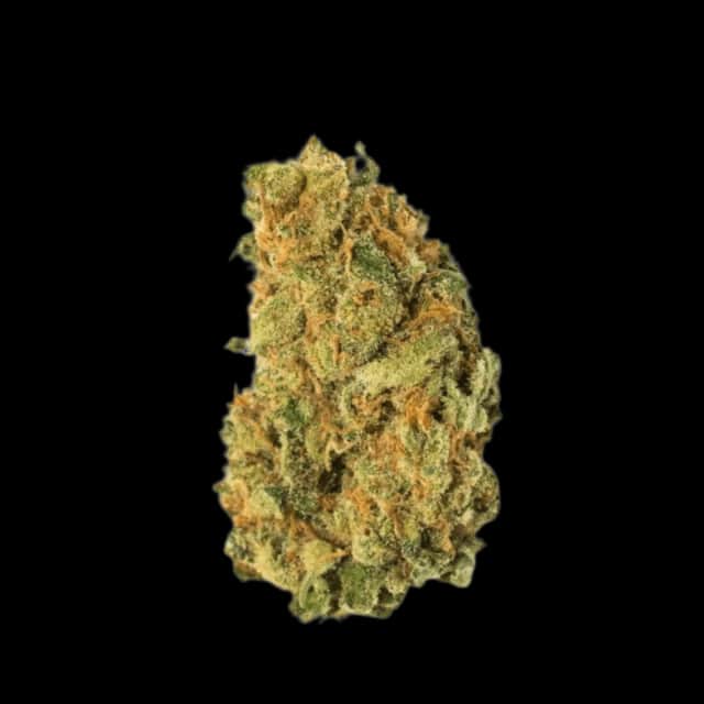 Cannamedical Sativa Forte NM Amsterdam Amnesia