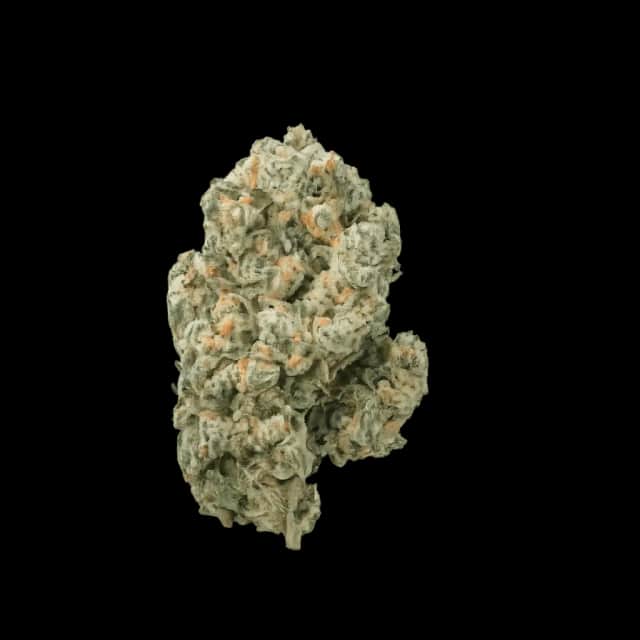 Cannamedical Sativa Forte SA Jack Herer