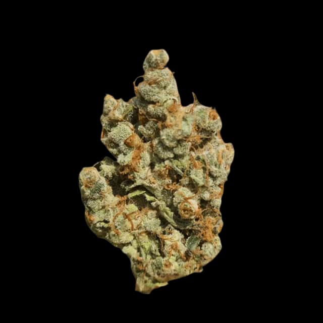 Cannamedical Sativa forte Venomz Eve