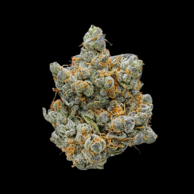 Cannamedical Sativa forte Zkittlez Mintz