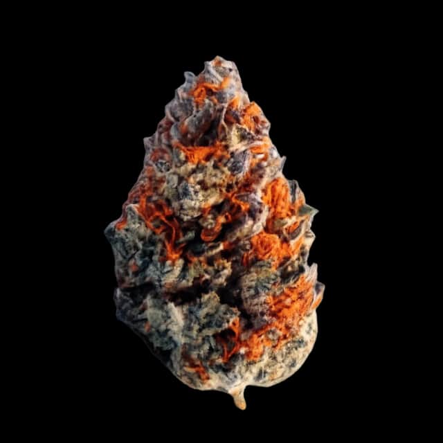 Cannamedical Sativa Ultimate NM Blue Lavender