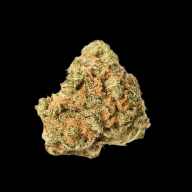 Cannamedical Sativa ultra ES Nova