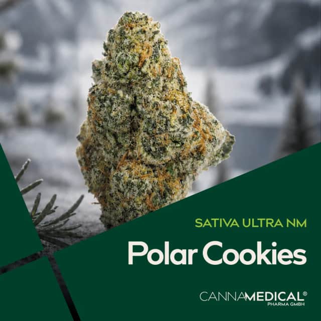 Cannamedical Sativa Ultra NM Polar Cookies
